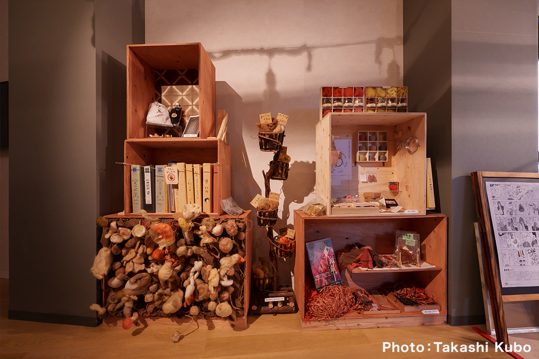 gallery4